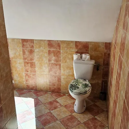 Kurka Wodna Apartment Siemiany